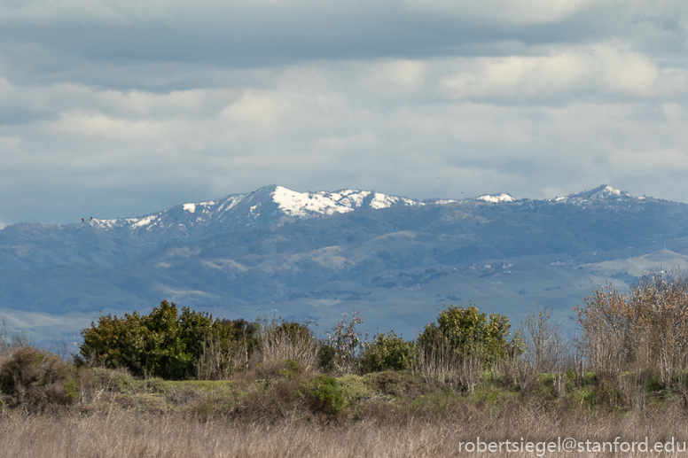 emily renzel wetlands